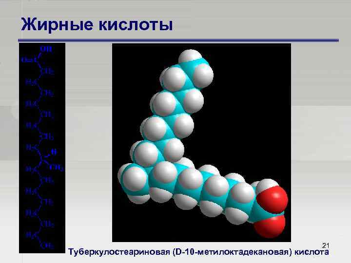 Жирные кислоты 21 Туберкулостеариновая (D 10 метилоктадекановая) кислота 