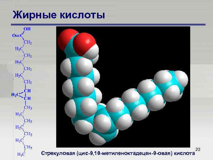 Жирные кислоты Стрекуловая (цис 9, 10 метиленоктадецен 9 овая) кислота 23 