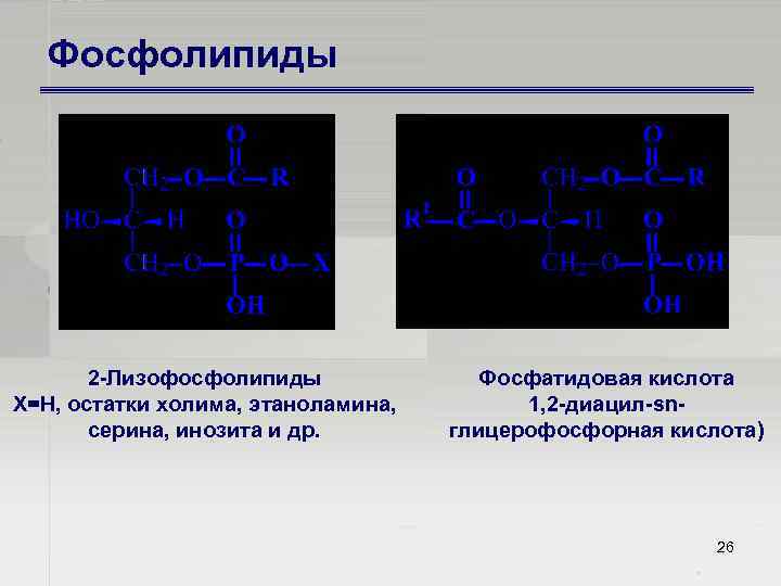 Фосфолипиды 2 Лизофосфолипиды Х=Н, остатки холима, этаноламина, серина, инозита и др. Фосфатидовая кислота 1,