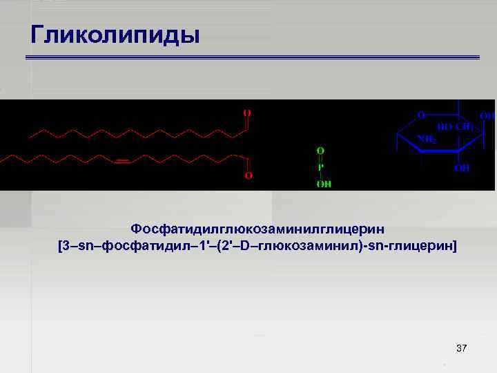 Гликолипиды Фосфатидилглюкозаминилглицерин [3–sn–фосфатидил– 1'–(2'–D–глюкозаминил) sn глицерин] 37 