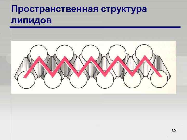 Пространственная структура липидов 39 
