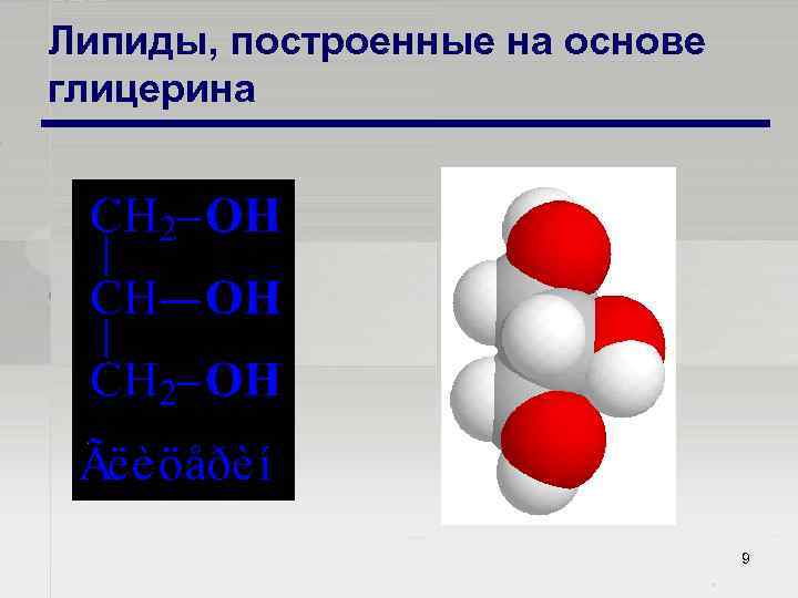 Липиды, построенные на основе глицерина 9 