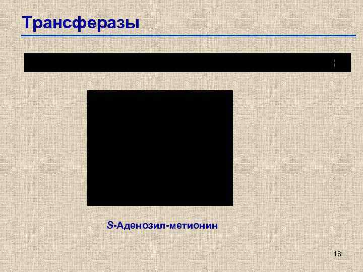 Трансферазы S-Аденозил-метионин 18 