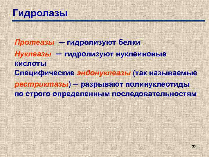 Гидролазы Протеазы – гидролизуют белки Нуклеазы – гидролизуют нуклеиновые кислоты Специфические эндонуклеазы (так называемые