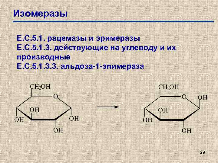 Изомеразы Е. С. 5. 1. рацемазы и эримеразы Е. С. 5. 1. 3. действующие