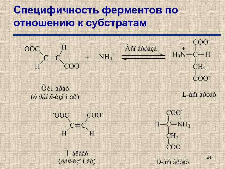 Специфичность ферментов по отношению к субстратам 41 