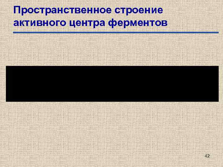 Пространственное строение активного центра ферментов 42 