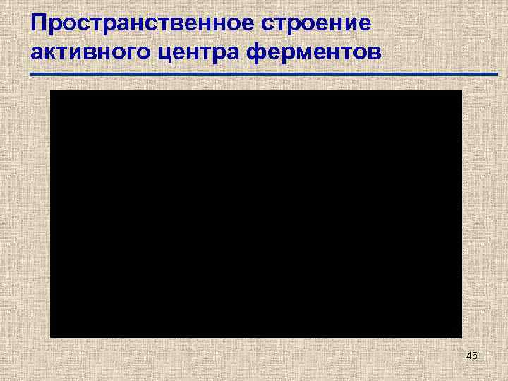 Пространственное строение активного центра ферментов 45 