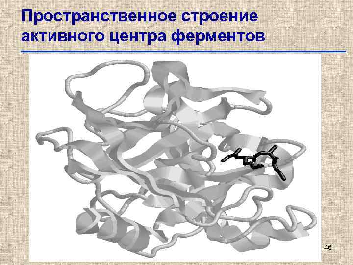 Пространственное строение активного центра ферментов 46 