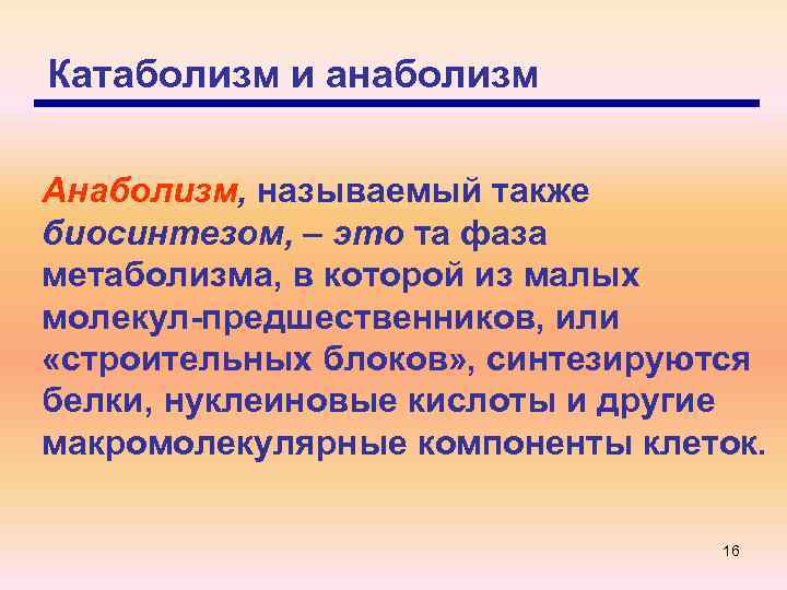 Катаболизм и анаболизм Анаболизм, называемый также биосинтезом, – это та фаза метаболизма, в которой