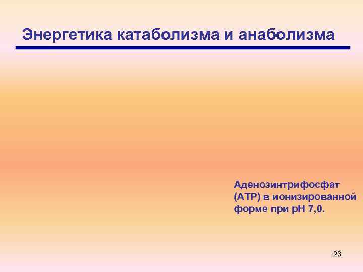 Энергетика катаболизма и анаболизма Аденозинтрифосфат (ATP) в ионизированной форме при р. Н 7, 0.