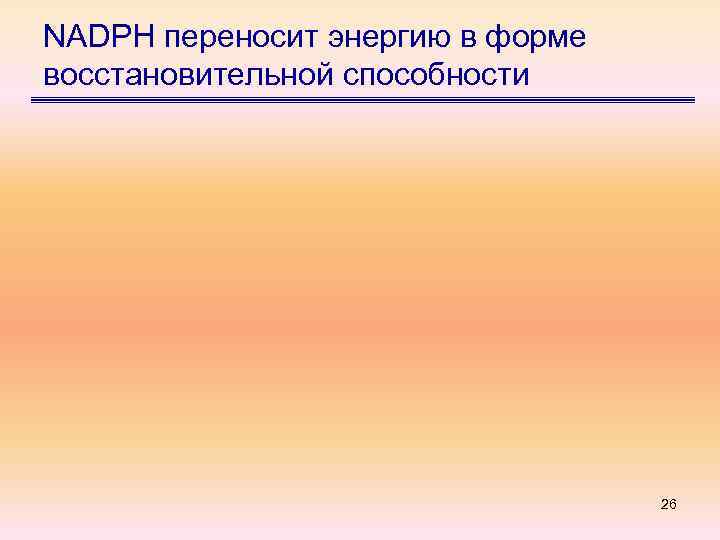 NADPH переносит энергию в форме восстановительной способности 26 