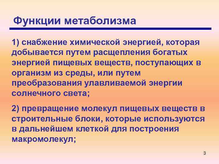 Функции метаболизма 1) снабжение химической энергией, которая добывается путем расщепления богатых энергией пищевых веществ,