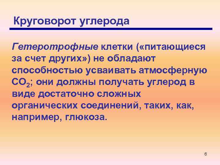 Круговорот углерода Гетеротрофные клетки ( «питающиеся за счет других» ) не обладают способностью усваивать