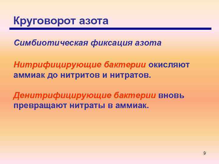 Круговорот азота Симбиотическая фиксация азота Нитрифицирующие бактерии окисляют аммиак до нитритов и нитратов. Денитрифицирующие