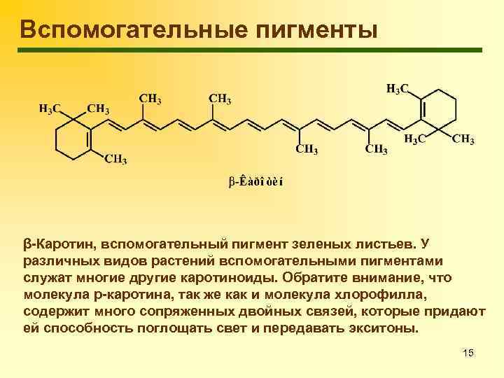 Вспомогательные пигменты β-Каротин, вспомогательный пигмент зеленых листьев. У различных видов растений вспомогательными пигментами служат