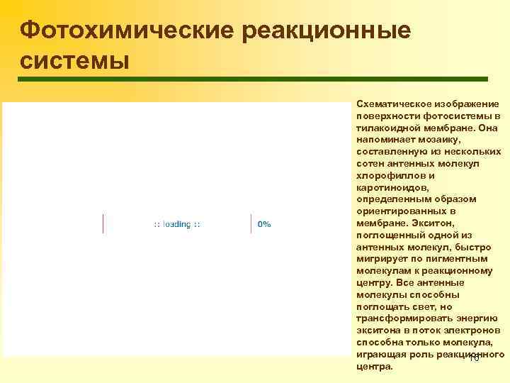 Фотохимические реакционные системы Схематическое изображение поверхности фотосистемы в тилакоидной мембране. Она напоминает мозаику, составленную
