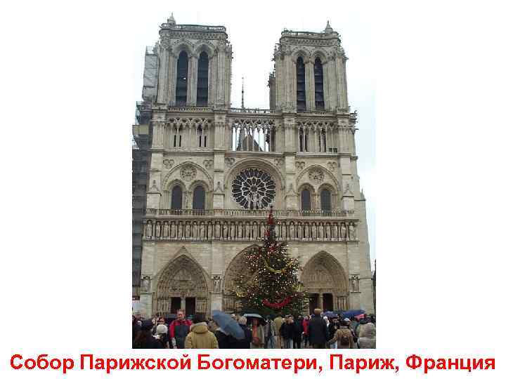 Собор Парижской Богоматери, Париж, Франция 