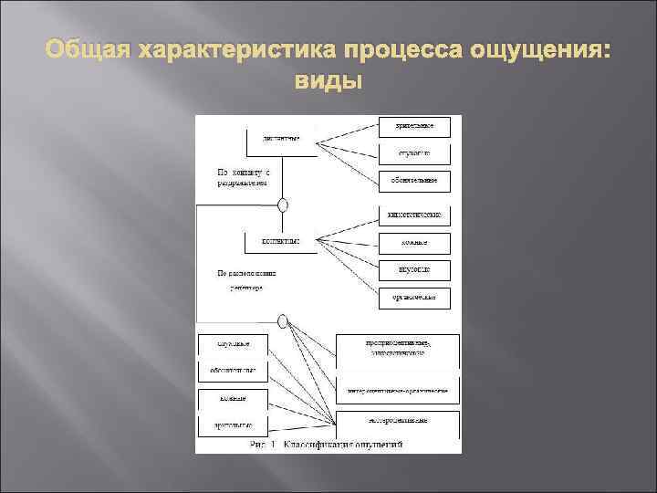 Общая характеристика процесса ощущения: виды 