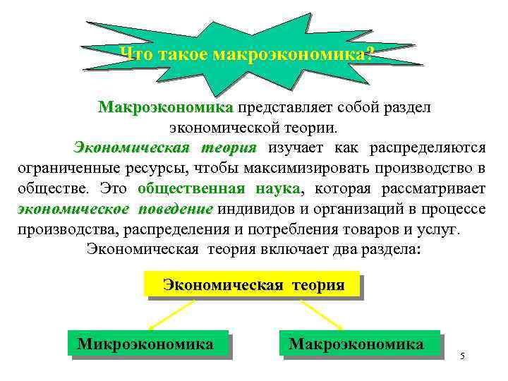 Что такое макроэкономика? Макроэкономика представляет собой раздел экономической теории. Экономическая теория изучает как распределяются