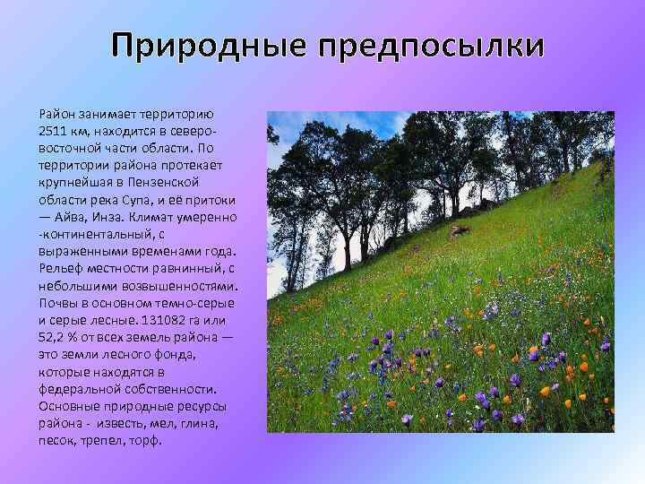 Природные предпосылки Район занимает территорию 2511 км, находится в северовосточной части области. По территории