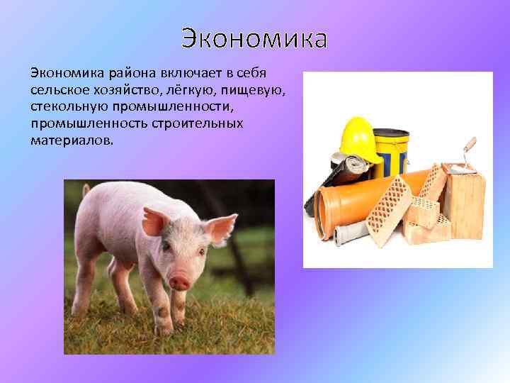 Экономика района включает в себя сельское хозяйство, лёгкую, пищевую, стекольную промышленности, промышленность строительных материалов.