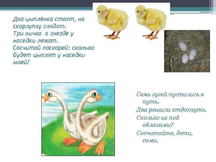 Два цыплёнка стоят, на скорлупку глядят. Три яичка в гнезде у наседки лежат. Сосчитай