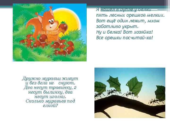 Я нашёл в дупле у белки пять лесных орешков мелких. Вот ещё один лежит,