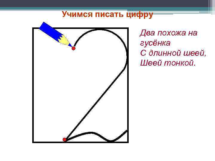 Учимся писать цифру Два похожа на гусёнка С длинной шеей, Шеей тонкой. 
