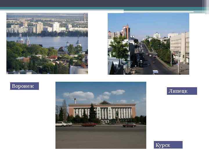 Воронеж Липецк Курск 