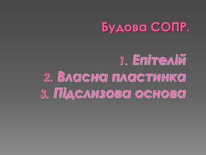 Будова СОПР. Епітелій 2. Власна пластинка 3. Підслизова основа 1. 