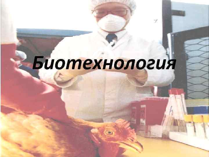 Биотехнология 