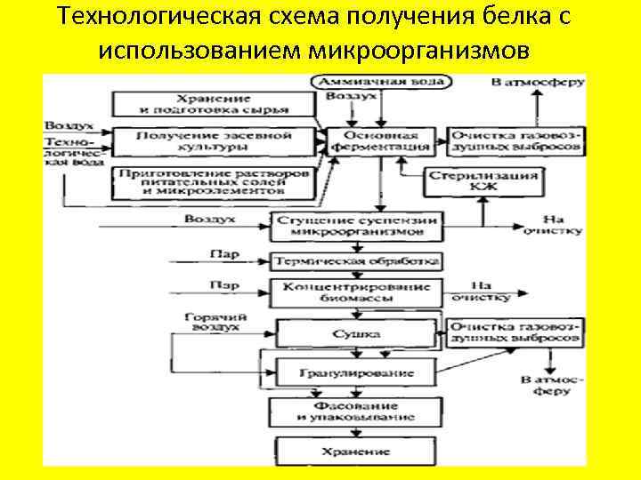 Технологическая схема производства дрожжей