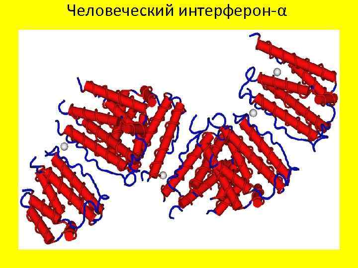 Человеческий интерферон-α 