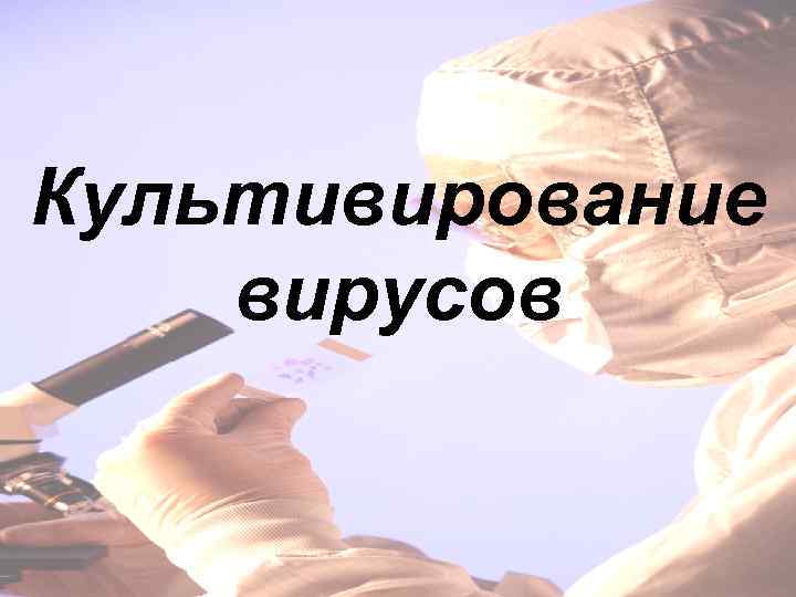 Культивирование вирусов 