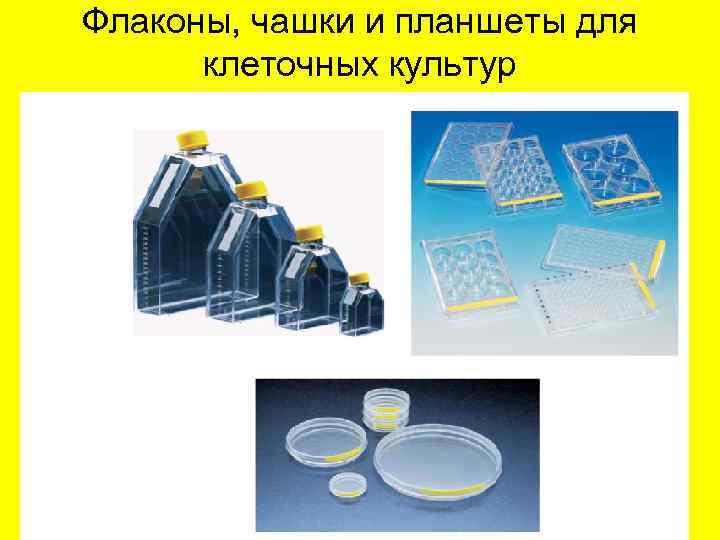 Флаконы, чашки и планшеты для клеточных культур 
