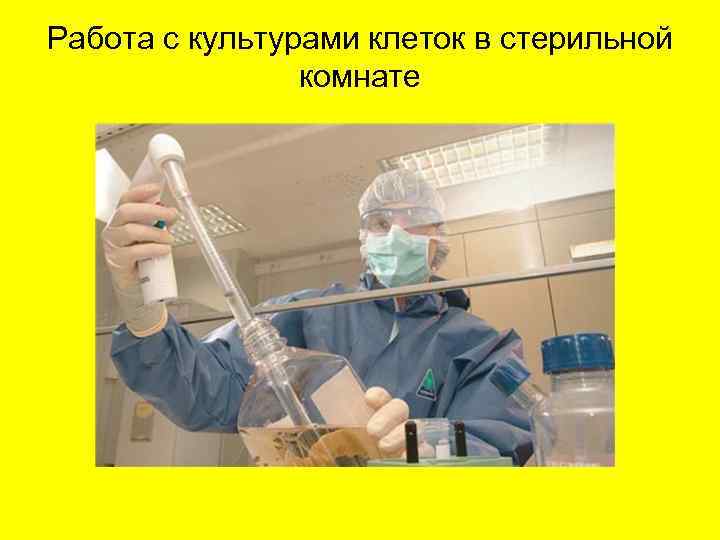 Работа с культурами клеток в стерильной комнате 