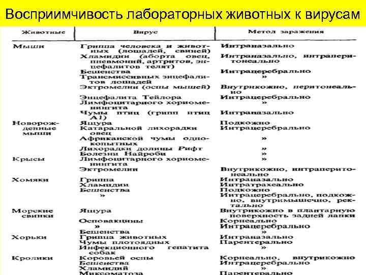 Восприимчивость лабораторных животных к вирусам 