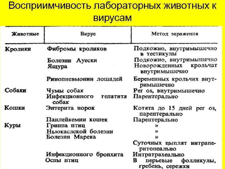 Восприимчивость лабораторных животных к вирусам 