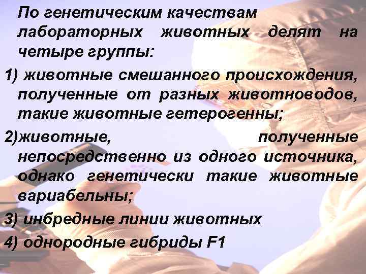 По генетическим качествам лабораторных животных делят на четыре группы: 1) животные смешанного происхождения, полученные
