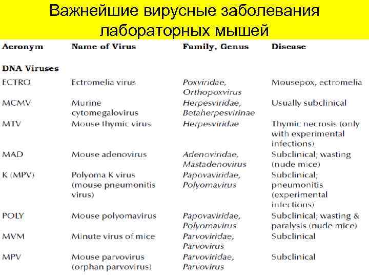 Важнейшие вирусные заболевания лабораторных мышей 
