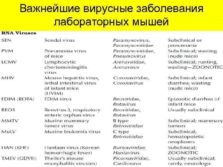 Важнейшие вирусные заболевания лабораторных мышей 