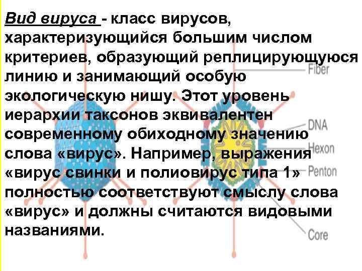 Вид вируса - класс вирусов, характеризующийся большим числом критериев, образующий реплицирующуюся линию и занимающий