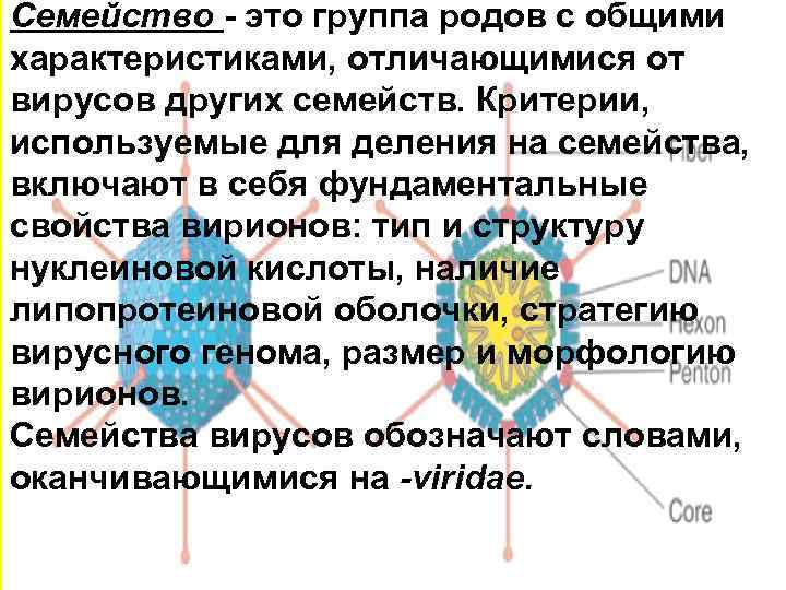 Семейство - это группа родов с общими характеристиками, отличающимися от вирусов других семейств. Критерии,