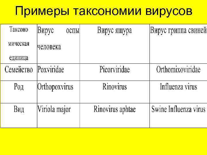 Примеры таксономии вирусов 