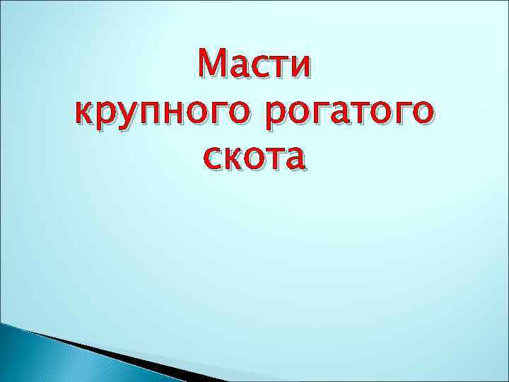 Масти крупного рогатого скота 