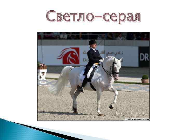 Светло-серая 