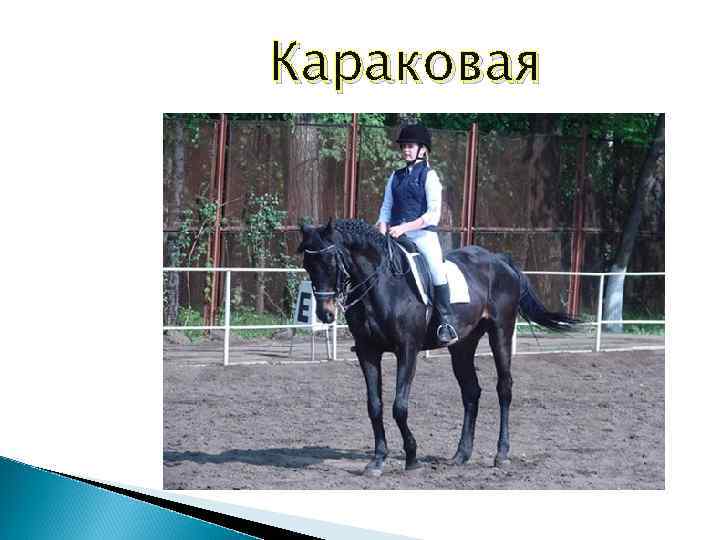 Караковая 