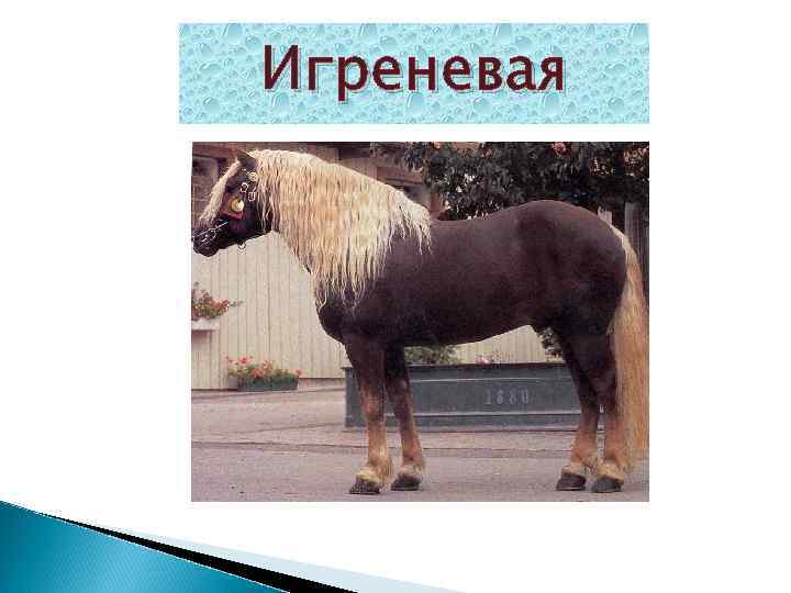 Игреневая 