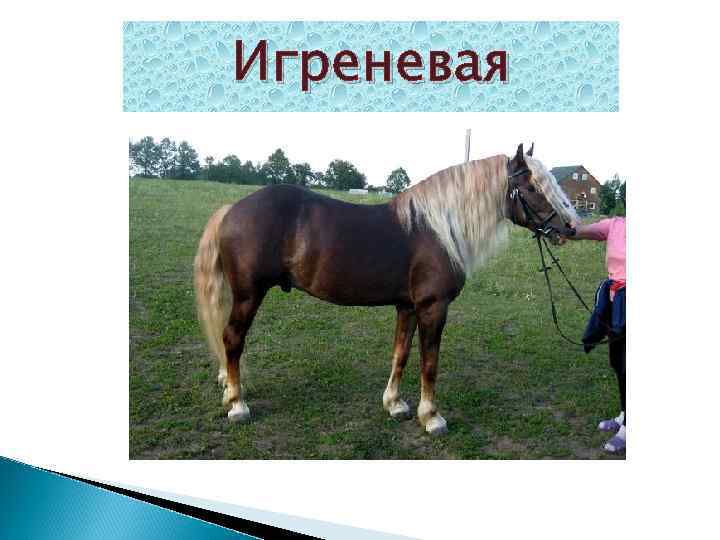 Игреневая 